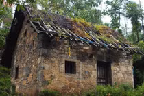 “Kho báu” bất ngờ lộ ra từ vết nứt tường nhà đổ nát