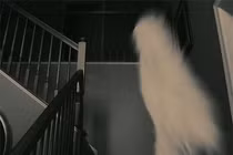 Loạt khoảnh khắc bí ẩn rùng rợn nhất con người chưa tài nào giải mã