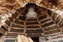 Kỳ bí mộ cổ ngàn năm được “quái thú” canh giữ, đố ai xâm phạm