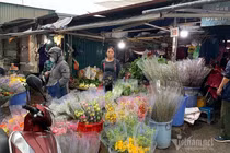 Phát hoảng đi chợ 29 Tết, hoa tươi tăng giá gấp 3 lần