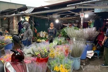 Phát hoảng đi chợ 29 Tết, hoa tươi tăng giá gấp 3 lần