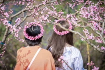 Đẹp mãn nhãn mùa xuân đến trên khắp thế giới