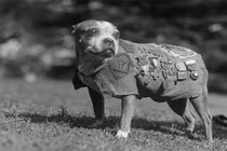 Những sự thật bất ngờ về "Cuộc chiến kết thúc mọi cuộc chiến"