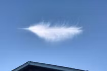 Độc đáo loạt ảnh thú vị thoạt nhìn rất dễ gây hiểu lầm