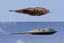 Thiết kế của máy bay B-2 là gì? Tại sao không có cánh đuôi?