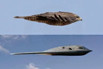 Thiết kế của máy bay B-2 là gì? Tại sao không có cánh đuôi?