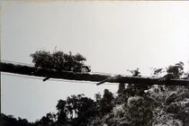 Đường mòn Hồ Chí Minh: Kỳ quan tuyệt vời trong CTVN