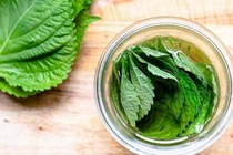 Loại rau thơm quen thuộc bán đầy chợ, ăn vào ngừa ung thư