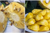 5 điều cần biết khi ăn mít để phát huy công dụng