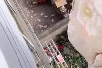 Vợ đi phơi chăn bông, bất ngờ phát hiện bí mật của chồng 