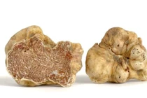 Thứ trị giá bạc tỉ xưa kia cho lợn ăn, nay ai có là đổi đời tỉ phú