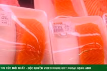 Loại cá nhà giàu tăng giá gấp 3 lần, cả người mua và người bán đều choáng