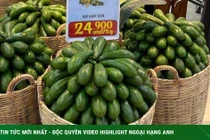 Loại bơ chân dài giá rẻ chưa từng có, chị em mua cả yến về ăn dần