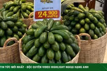 Loại bơ chân dài giá rẻ chưa từng có, chị em mua cả yến về ăn dần