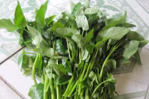 Thói quen ăn rau muống gây hại cho sức khỏe