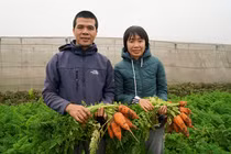 Trồng thứ rau rẻ tiền, vợ chồng tiến sĩ bỏ việc về quê gây bất ngờ lớn