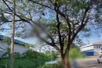 Người đàn ông tự tử sau tranh cãi với mẹ về mùi thức ăn