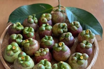 Măng cụt xanh có thể gây độc…là từ thành phần nào?