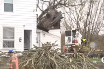 Đang ngủ trong nhà, thanh niên 21 tuổi tử vong vì cây đổ