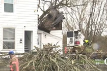 Đang ngủ trong nhà, thanh niên 21 tuổi tử vong vì cây đổ