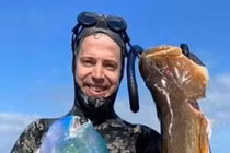 Người đàn ông bị cá mập cắn tử vong trước mặt gia đình