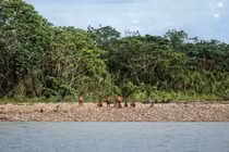 Tò mò cuộc sống 6 bộ tộc biệt lập nhất hành tinh