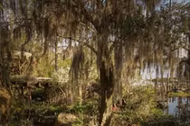 Ám ảnh bên trong công viên nước Disney bỏ hoang hàng chục năm