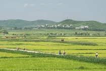 Hé lộ cuộc sống ở nông thôn Triều Tiên nhiều năm trước