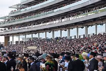 Cô gái trẻ bị tấn công, cưỡng hiếp khi đang đi bộ