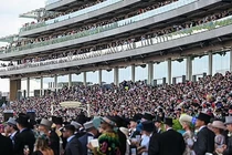 Cô gái trẻ bị tấn công, cưỡng hiếp khi đang đi bộ