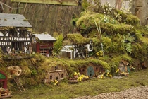 Cận cảnh “làng chuột” độc nhất vô nhị ở Anh