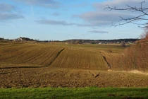 Đang làm việc trên cánh đồng, nông dân phát hiện “kho báu” cực hiếm