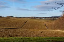 Đang làm việc trên cánh đồng, nông dân phát hiện “kho báu” cực hiếm