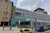 Bé gái nguy kịch vì bị chó nhà tấn công