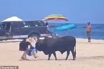 Khoảnh khắc kinh hãi nữ du khách bị bò húc trên bãi biển