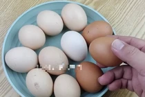 Nên mua trứng vỏ trắng hay nâu? Câu trả lời bất ngờ