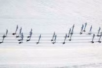 Loạt ảnh “đánh lừa thị giác” khiến bạn không tin vào mắt mình