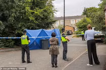 Đến nhà anh trai, người đàn ông 33 tuổi bị chó cắn tử vong