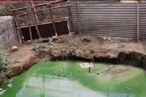 Rơi xuống hố nước gần bể phốt, bé 7 tuổi tử vong