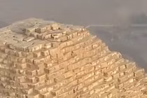 Chú chó lang thang trên đỉnh kim tự tháp Ai Cập gây kinh ngạc