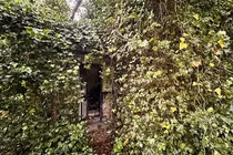 Ám ảnh ngôi nhà bỏ hoang hàng chục năm bị thiên nhiên xâm chiếm