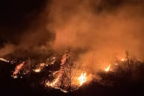 Cháy rừng dữ dội ở Hàn Quốc, nhiều người thương vong