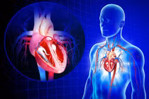 Bất ngờ căn bệnh gây tử vong nhiều nhất, không phải ung thư