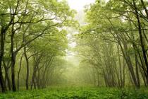 Top sự thật kinh ngạc về đất nước Pakistan