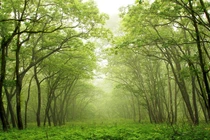 Top sự thật kinh ngạc về đất nước Pakistan