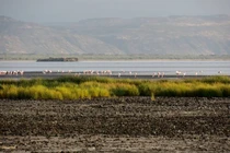 Cảnh tượng sửng sốt ở “"hồ nước chết chóc nhất hành tinh"