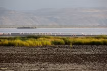 Cảnh tượng sửng sốt ở “"hồ nước chết chóc nhất hành tinh"