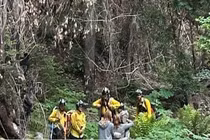 Sống sót sau 10 ngày lạc trong rừng sâu nhờ điều này