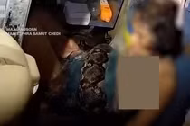 Thót tim giải cứu người phụ nữ bị trăn siết chặt suốt 2 tiếng