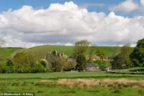 Đi bộ trên cánh đồng, thầy giáo tử vong vì đàn bò tấn công